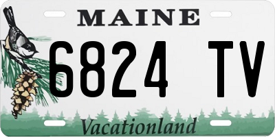 ME license plate 6824TV