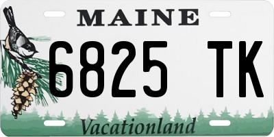 ME license plate 6825TK