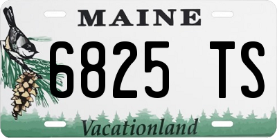 ME license plate 6825TS