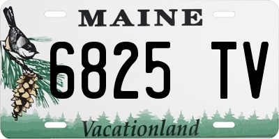 ME license plate 6825TV