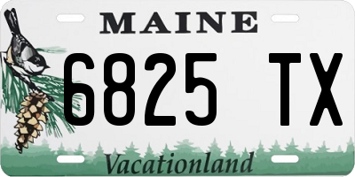 ME license plate 6825TX