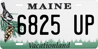 ME license plate 6825UP