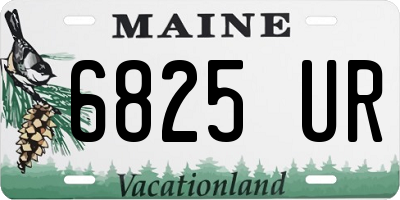 ME license plate 6825UR