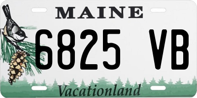 ME license plate 6825VB