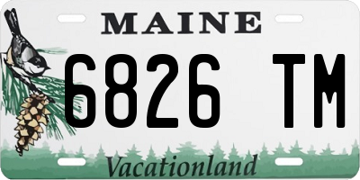 ME license plate 6826TM