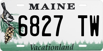 ME license plate 6827TW