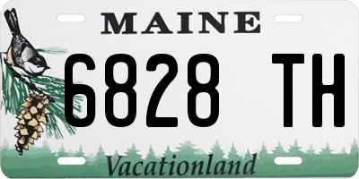 ME license plate 6828TH