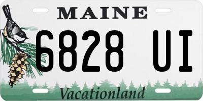 ME license plate 6828UI