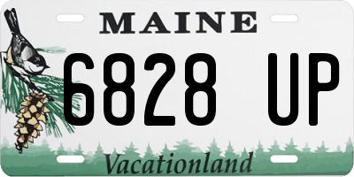 ME license plate 6828UP
