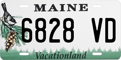 ME license plate 6828VD