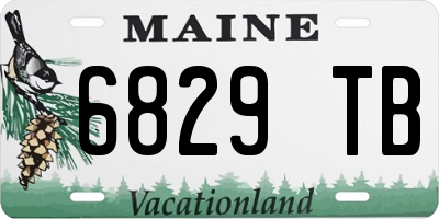 ME license plate 6829TB