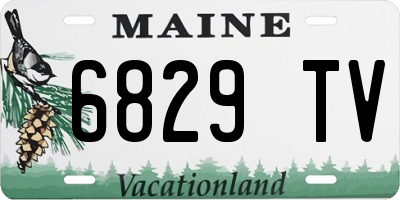 ME license plate 6829TV