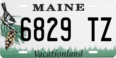 ME license plate 6829TZ