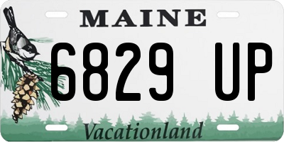 ME license plate 6829UP