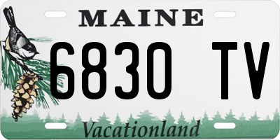 ME license plate 6830TV
