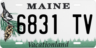 ME license plate 6831TV