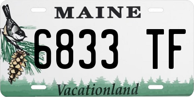 ME license plate 6833TF