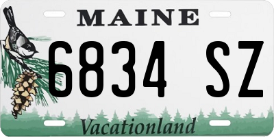 ME license plate 6834SZ