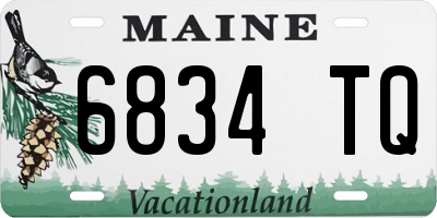 ME license plate 6834TQ