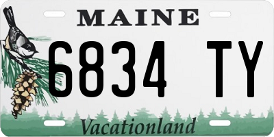 ME license plate 6834TY