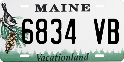 ME license plate 6834VB