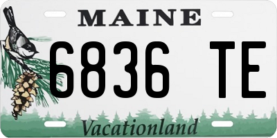 ME license plate 6836TE