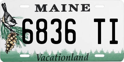 ME license plate 6836TI