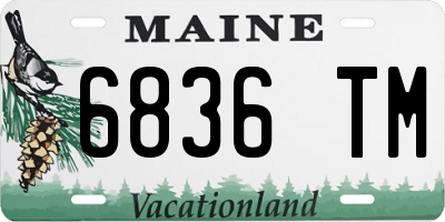 ME license plate 6836TM