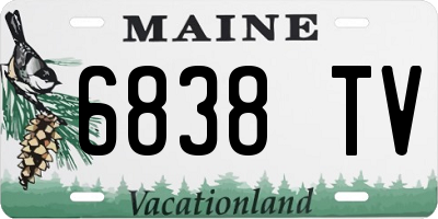 ME license plate 6838TV