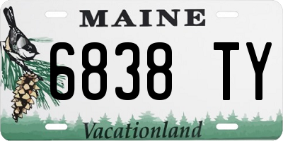 ME license plate 6838TY