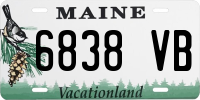 ME license plate 6838VB