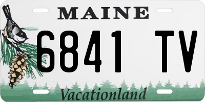 ME license plate 6841TV