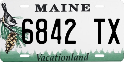 ME license plate 6842TX