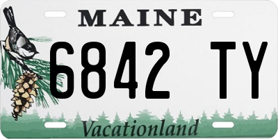 ME license plate 6842TY