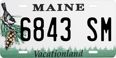 ME license plate 6843SM