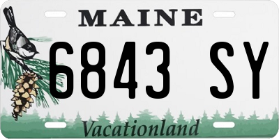 ME license plate 6843SY