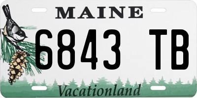 ME license plate 6843TB