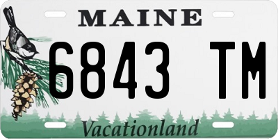 ME license plate 6843TM