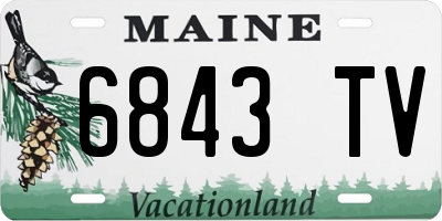 ME license plate 6843TV