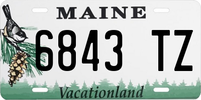 ME license plate 6843TZ