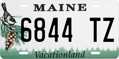 ME license plate 6844TZ