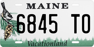 ME license plate 6845TO