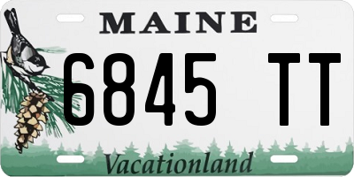 ME license plate 6845TT