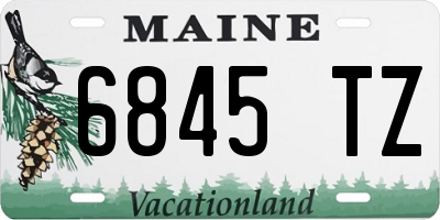 ME license plate 6845TZ