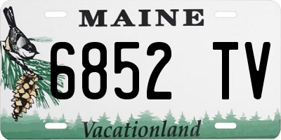ME license plate 6852TV