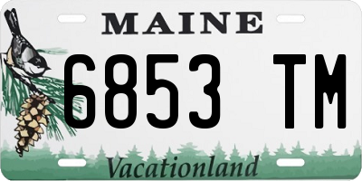 ME license plate 6853TM