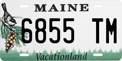 ME license plate 6855TM