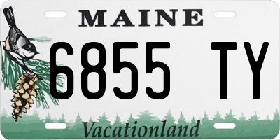 ME license plate 6855TY