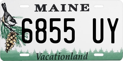 ME license plate 6855UY