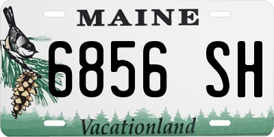 ME license plate 6856SH